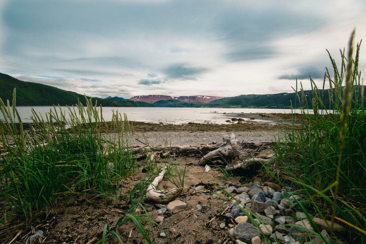 Out East B&B Norris Point Εξωτερικό φωτογραφία